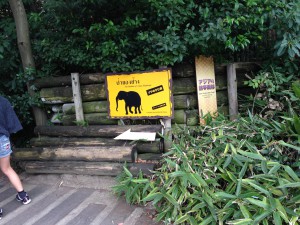 天王寺動物園熱帯雨林